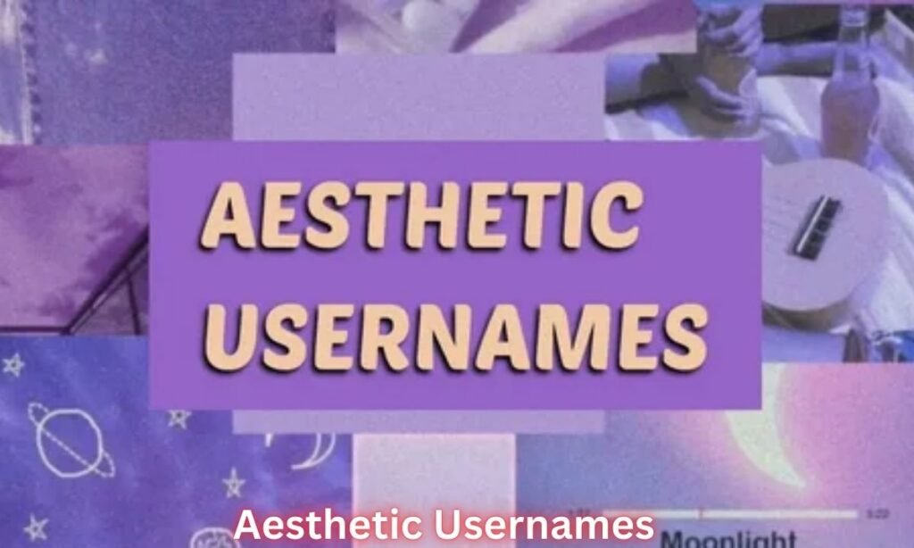 720+ Aesthetic Usernames That’ll Make Your Profile Shine Grab Yours Now