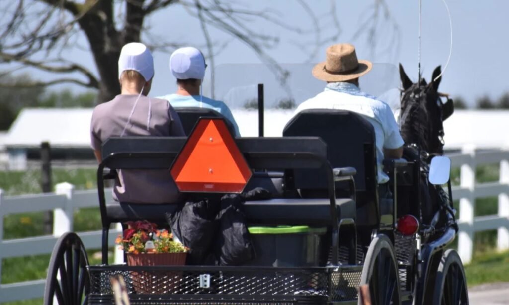 amish-first-names-for-boys
