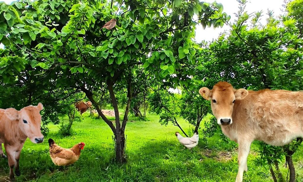 animal-crossing-village-names