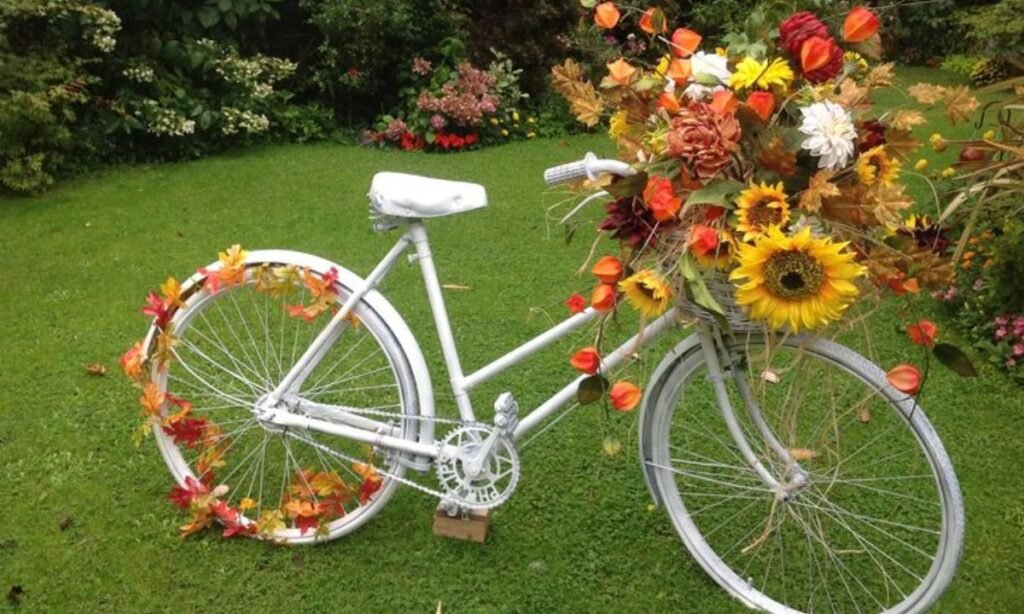 bike-names-that-start-with-z