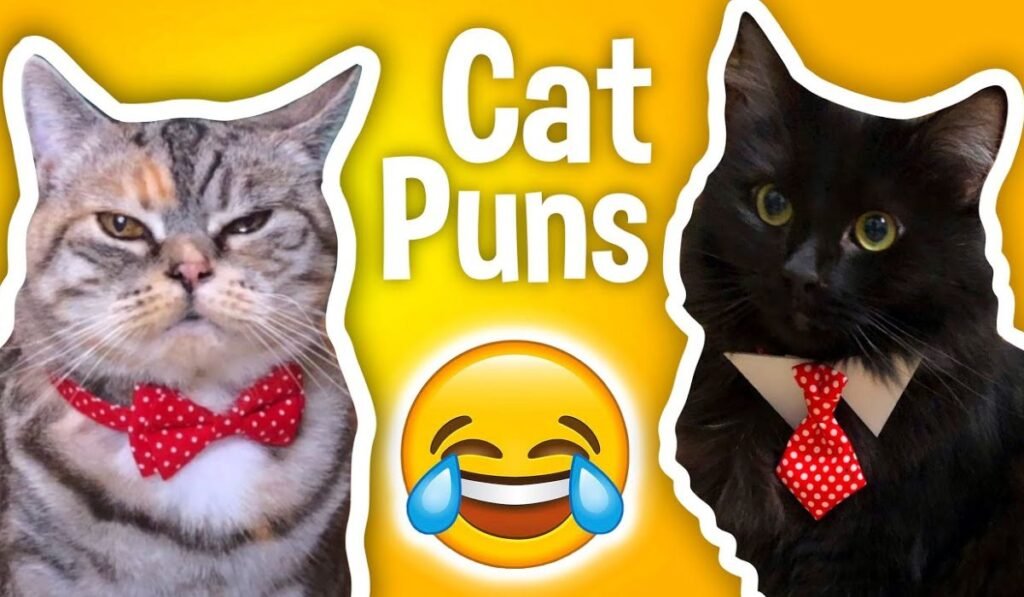 cat-pun-names