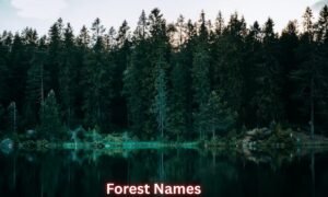 forest-names