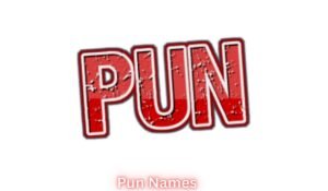 pun-names