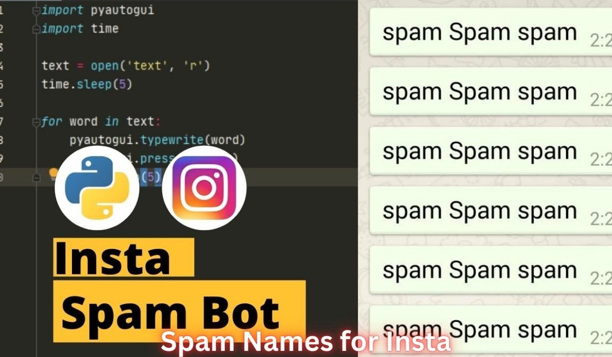 spam-names-for-insta
