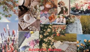 aesthetic-names