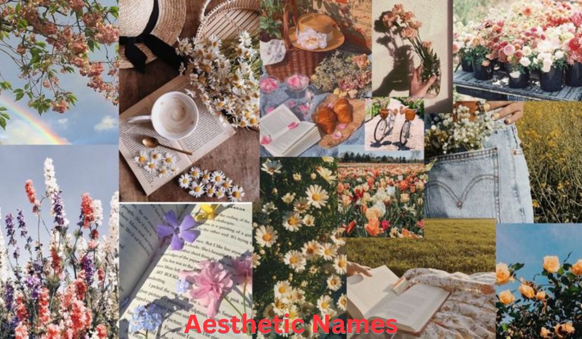 aesthetic-names