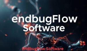 endbugflow-software