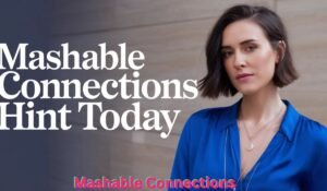 mashable-connections