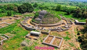 thimbsilla